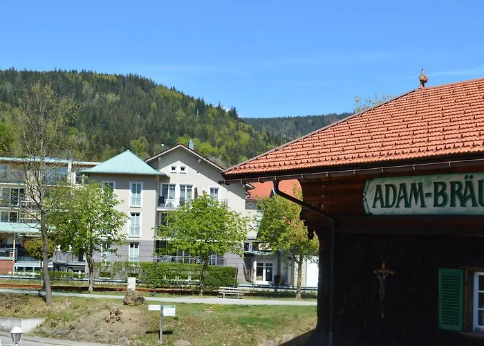 Wellness- Und Bierhotel Adam Braeu Bodenmais